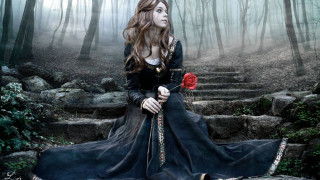 Gothic fantasy forest rose woman - a foggy background free wallpaper