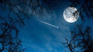 Sky moon trees shooting star - shooting free wallpaper