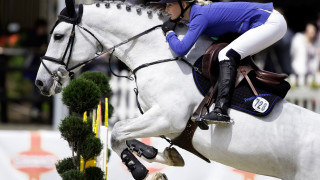 Woman horse jump competition spectators - ultra high definition free wallpaper
