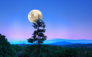 Full moon forest mountains purple - a purple hue free wallpaper