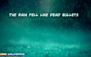 Rain soaked field dead bullets - the rain free wallpaper