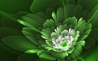 Green flower white center digital - white center free wallpaper
