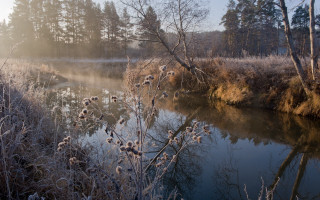 River trees grass foggy sky - misty free wallpaper