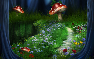 Forest mushrooms flowers stream path - mushroom free wallpaper