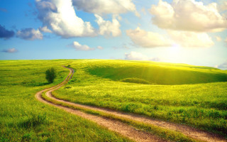 Dirt road green field blue - cloud and sun free wallpaper