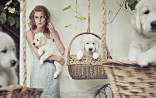 Woman puppies basket impressionist photography - two puppy free wallpaper