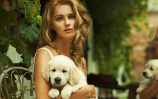 Woman puppy outside blurry animals - her lap free wallpaper