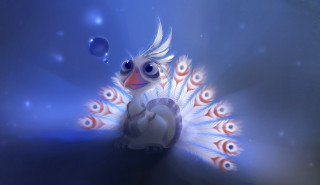 White bird blue tail red - a blue tail free wallpaper