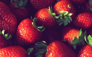 Strawberries leaves macro berries impressionism - strawberry free wallpaper