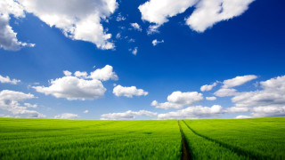 Green field sky clouds background 3 - a green field free wallpaper