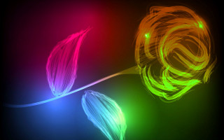 Colorful flower abstract neon energy - neon color free wallpaper