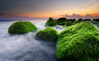 Mossy rocks ocean sunset cloudy - moss free wallpaper