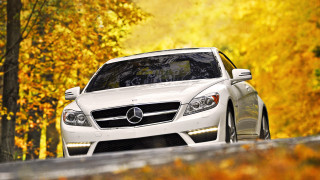 White car autumn leaves dusk - yellow leaf free wallpaper