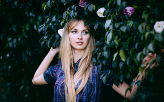 Woman blonde longhair flower bush - a bush free wallpaper