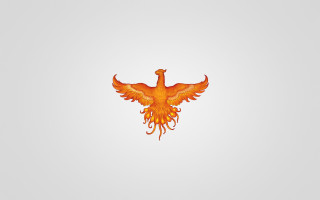 Bird orange wings flying gradient - a red tail free wallpaper