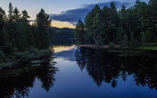 River forest sunset clouds mountains - tree and a forest free wallpaper