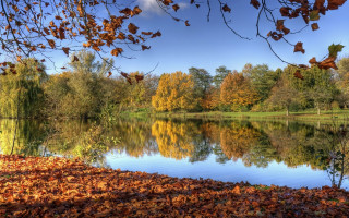 Lake leaves trees blue sky - leaf and trees free wallpaper