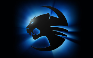 Black cat blue background blue - a black cat free wallpaper