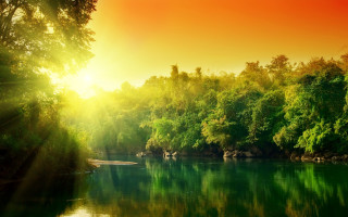 River boat trees sunlight nature - river free wallpaper