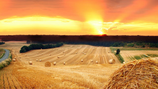 Hayfield sunset road bales matte - a field of hay free wallpaper