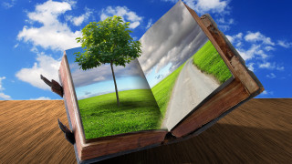 Storybook illustration sunny tree road - storybook illustration free wallpaper for desktop