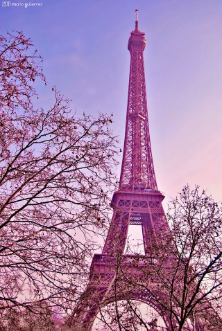 Pink eiffel tower paris blooming - impressionist free wallpaper for mobile