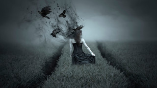 Woman dress field birds tree - dark art free wallpaper