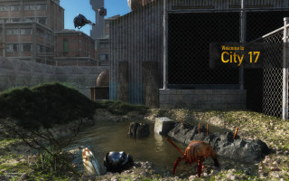 City 17 animals water architecture - cryengine free wallpaper