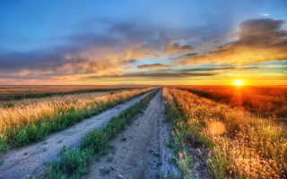 Dirt road sunset field clouds - a dirt road in a field free wallpaper