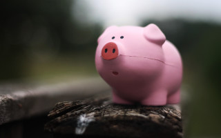 Pink pig wooden fence post - les automatiste free wallpaper