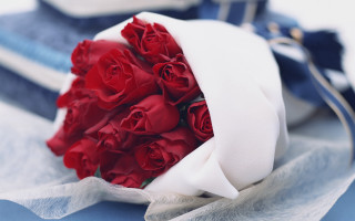Red roses white ribbon blue - a blue cloth free wallpaper