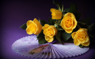 Yellow roses purple table fan - a bouquet free wallpaper