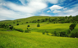 Lush green hillside blue sky - a lush green hillside free wallpaper