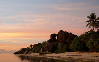Elephants beach sunset palm trees - eric deschamps free wallpaper