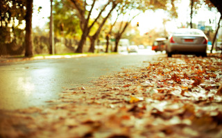 Autumn leaves street car blurry - a street free wallpaper