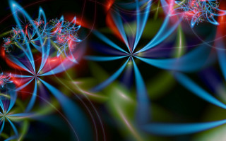 Flower butterfly fractals generative art - image of a flower free wallpaper