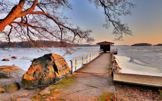 Wooden pier tree boat sunset - a wooden pier free wallpaper