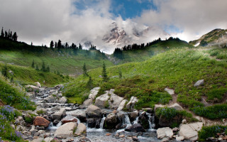 Lush green hillside river mountain - rock and grass free wallpaper