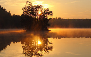 Lake tree sunset fog magic - a tree in the middle of it free wallpaper