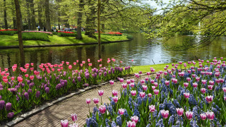 Park pond flowers people trees - free spring wallpaper