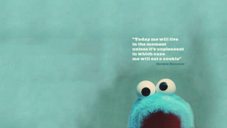 Blue stuffed animal quote today - a quote above free wallpaper