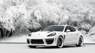 White porsche snowy tree parking - snow and ice free wallpaper for desktop