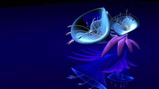 Blue purple flower butterfly abstract - anton graff free wallpaper