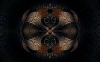 Flower darkroom blackbackground redcenter androidjones - caustic free wallpaper