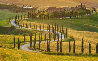 Winding road green field house - road free wallpaper for desktop