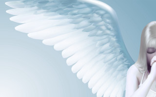 Angelic white wings blue background - a white angel free wallpaper