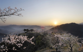 Sunset mountain blooming tree valley - the valley free wallpaper