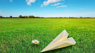 Paper airplane flower daisy grass - david inshaw free wallpaper