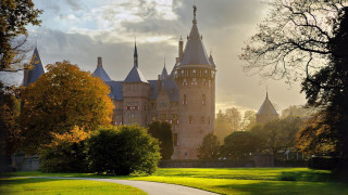 Castle path park tree bush - medieval free wallpaper