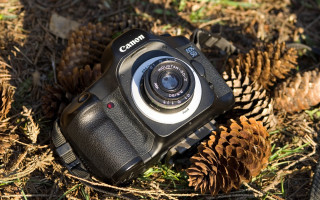 Camera pinecone autumn blurry city - canon 5 0 mm free wallpaper for desktop